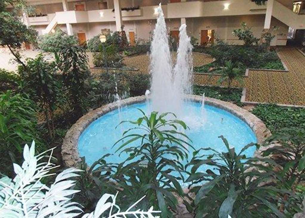Hotel Ava Lubbock Tiện nghi bức ảnh